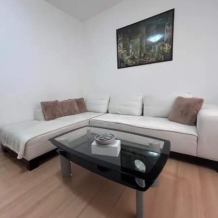 Black&ginger * Zrenjanin