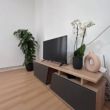 Apartment Black And Ginger *