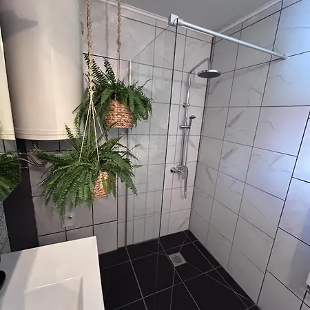 Black And Ginger Apartment