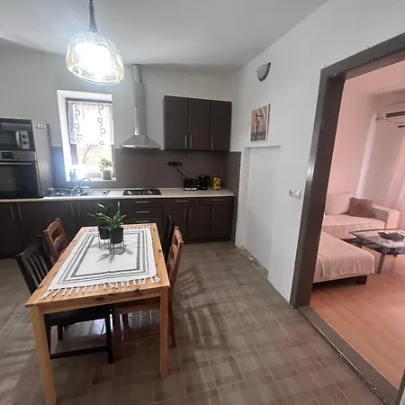 Black And Ginger * Zrenjanin