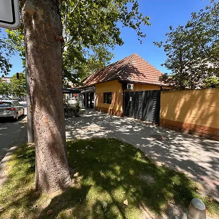 Black And Ginger * Zrenjanin