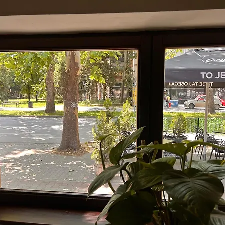 Lägenhet Black And Ginger *