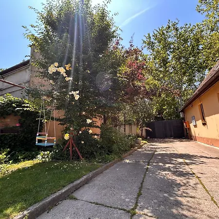 Black&ginger * Zrenjanin