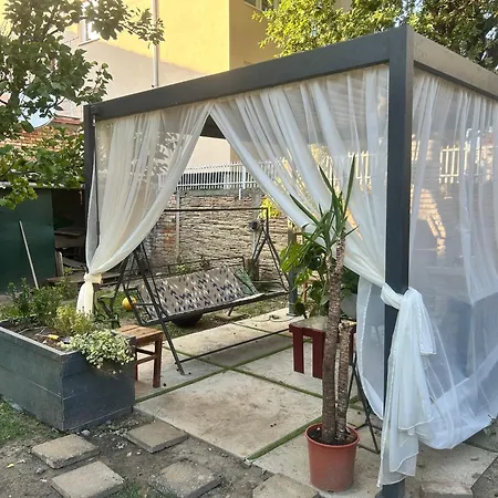 Black&ginger * Zrenjanin