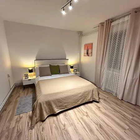 Black&ginger * Zrenjanin