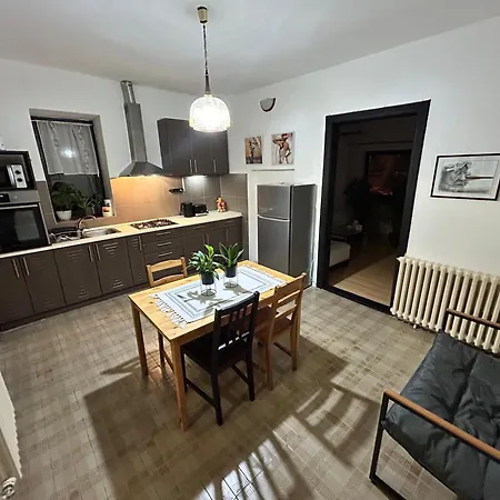 Black&ginger * Zrenjanin