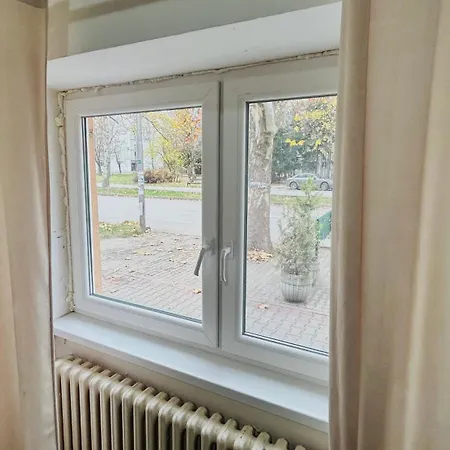 Black And Ginger * Zrenjanin