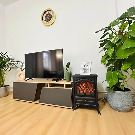 Black&ginger * Zrenjanin