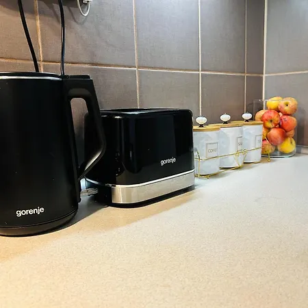 Black&ginger Zrenjanin