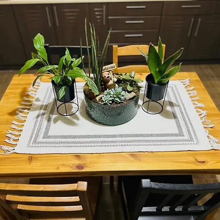 Apartment Black&ginger Zrenjanin