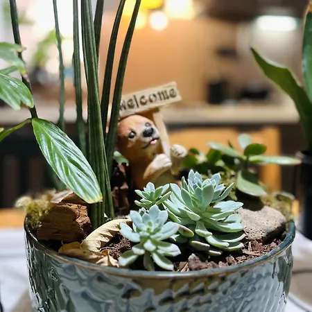 Black&ginger Apartment