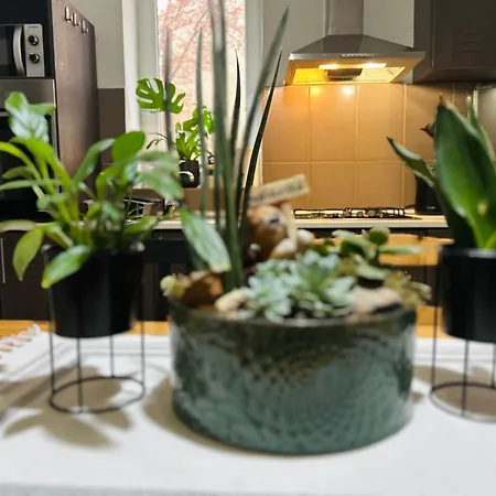 Black&ginger Apartment *