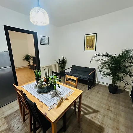 Black&ginger Apartment Zrenjanin