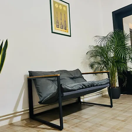 Black&ginger * Zrenjanin