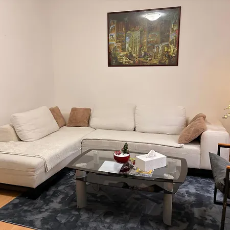 Black And Ginger Zrenjanin